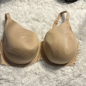 Lane Bryant 40F underwire Elegant Tan Women's Bra